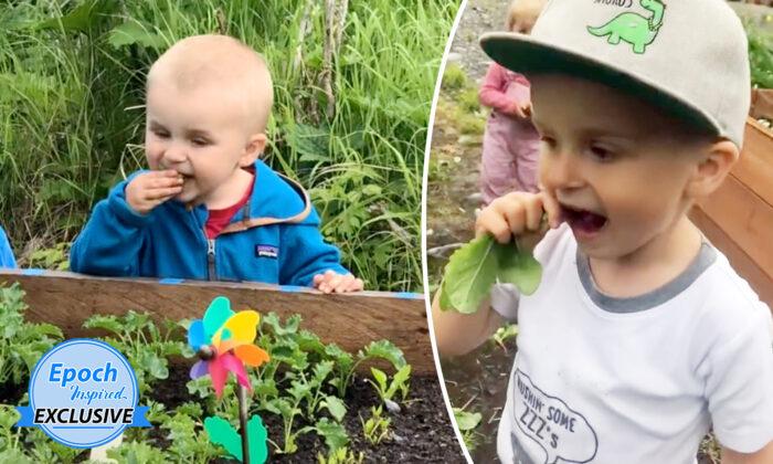 Video: Boy, 4, Eats Veggies Straight From the Garden, Has Amazing Memory for Food Facts