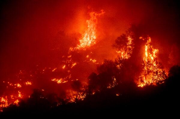 Flames from the KNP Complex Fire burn a hillside above the Kaweah River in Sequoia National Park, Calif., on Sept. 14, 2021. (Noah Berger/AP Photo)