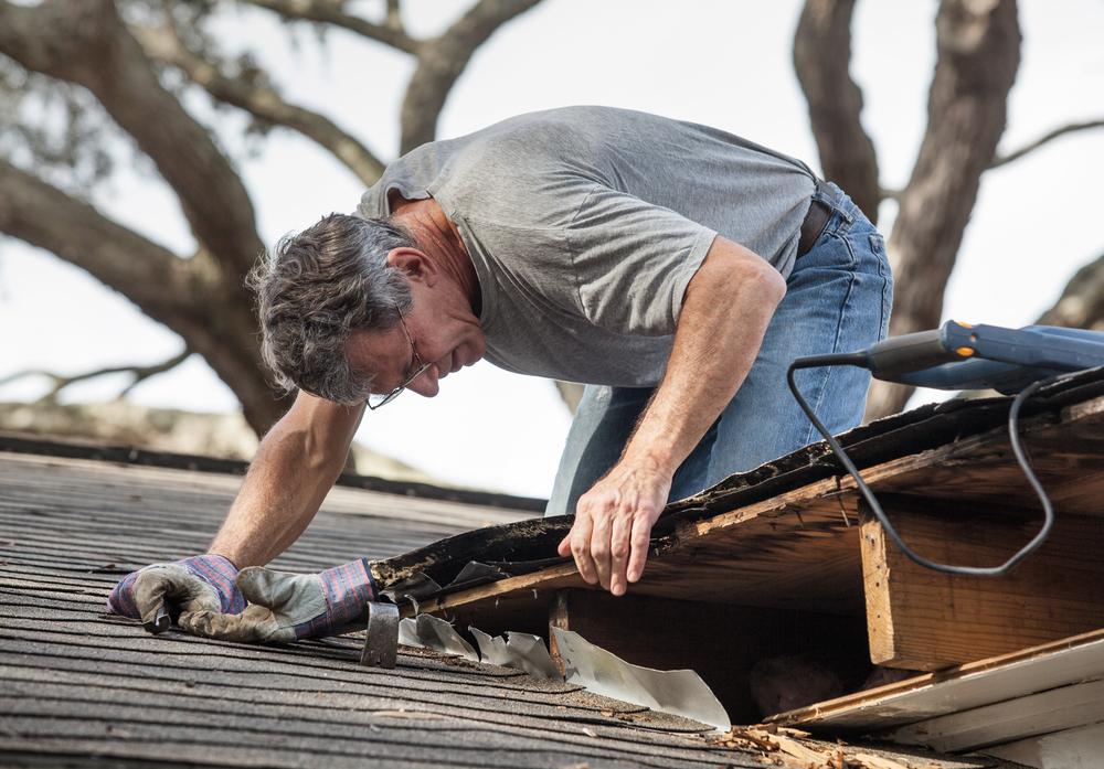 Look for any cracks or other damage in the roof, possibly caused by sun exposure. (forestpath/Shutterstock)