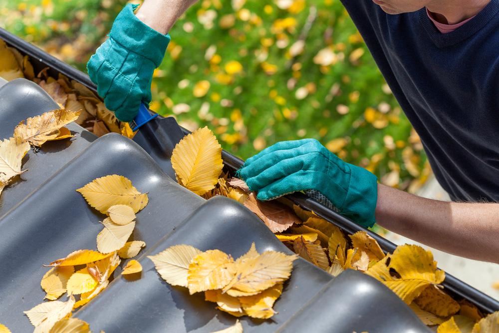 Take some time to check your home's gutters for dead leaves and other potential blockages. (ESB Professional/Shutterstock)