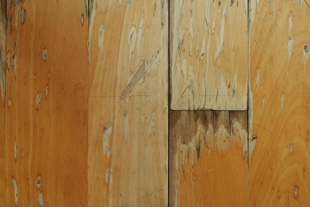 Fix or replace any floorboards damaged by summer's heat and humidity. (Sirachuch Chienthaworn/Shutterstock)