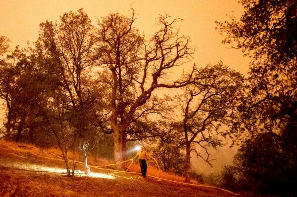 A firefighter lays hose around the Foothills Visitor Center while battling the KNP Complex Fire in Sequoia National Park, Calif., on Sept. 14, 2021. (Noah Berger/AP Photo)