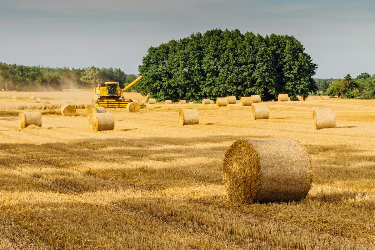 Price of Kansas Farmland up More Than 10 Percent