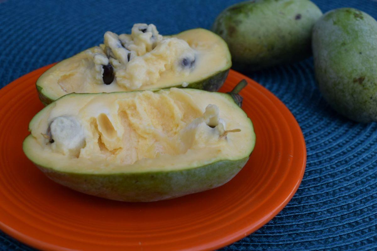 The creamy pawpaw can be eaten with a spoon right out of the skin. (Beth Brelje/ The Epoch Times)