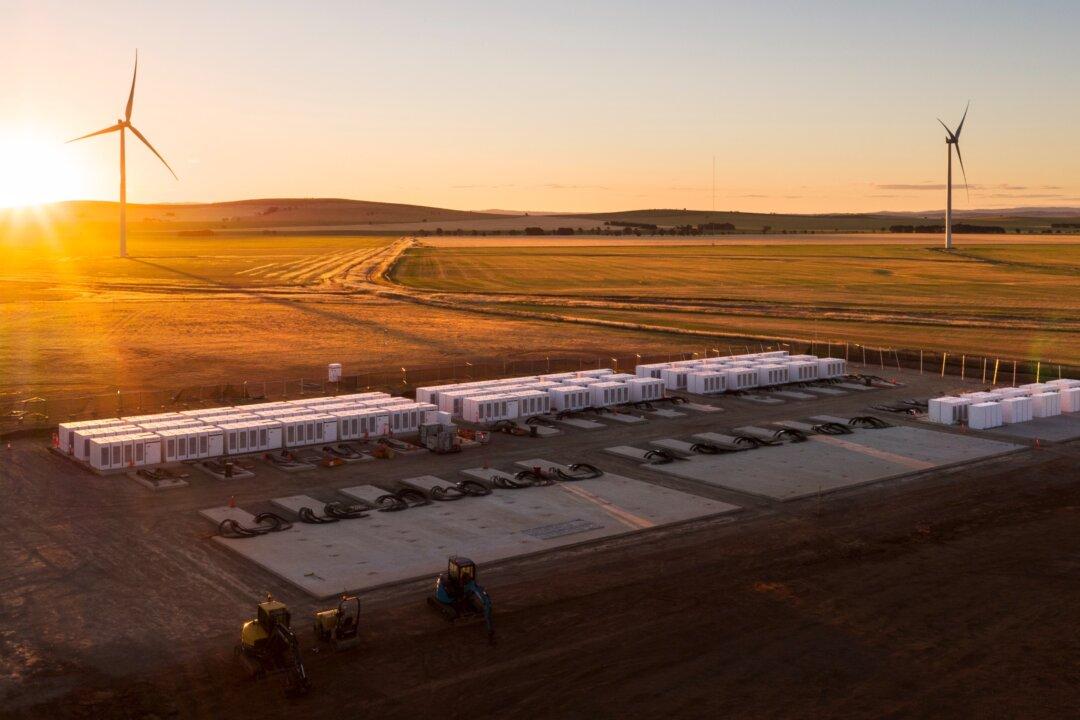 Tesla’s South Australian Battery Sued After Failing to Ensure Energy Stability