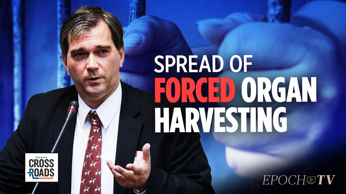 EpochTV Review: The Specter of Forced Organ Harvesting