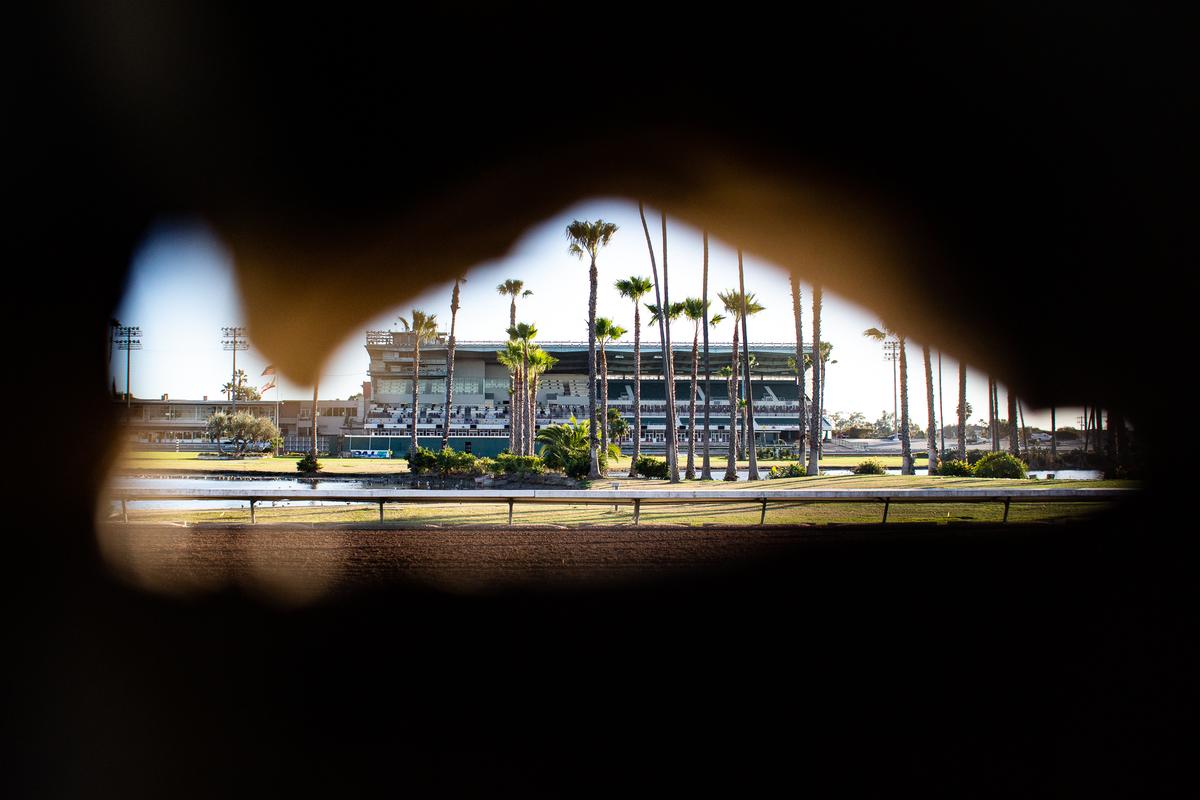 Los Alamitos Race Takes Safety Steps Following Recent Horse Deaths
