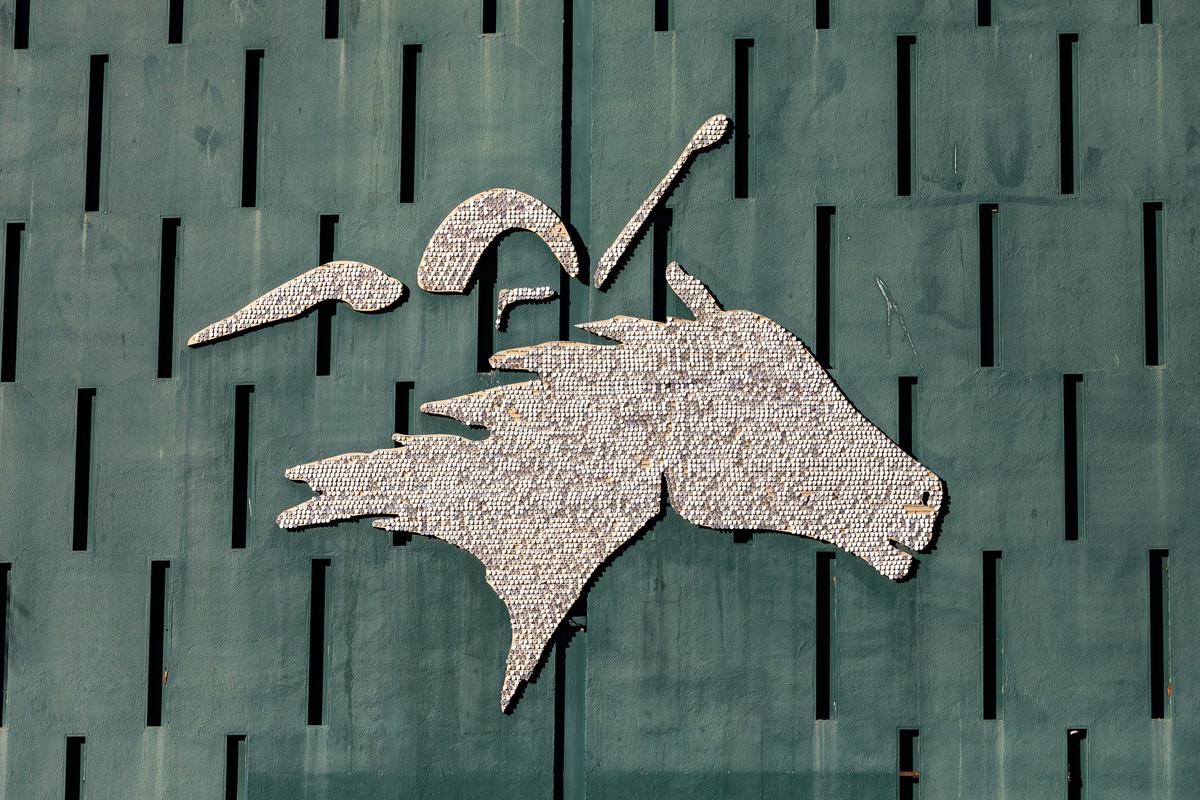 2 Horses Die From Training Injuries at Los Alamitos