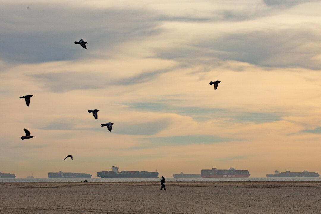 New System Sees Cargo Ship Numbers Drop at LA Ports