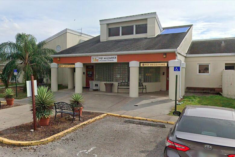 Pet Alliance of Greater Orlando. (Screenshot/<a href="https://www.google.com/maps/@28.489369,-81.4269527,3a,47.8y,146.01h,89.51t/data=!3m6!1e1!3m4!1sFgwBx1U9BjDsroo47yPDcA!2e0!7i16384!8i8192">Google Maps</a>)