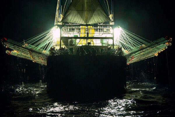 A Chinese-flagged ship fishes for squid at night on the high seas off the west coast of South America on July 2021. (Isaac Haslam/Sea Shepherd via AP)