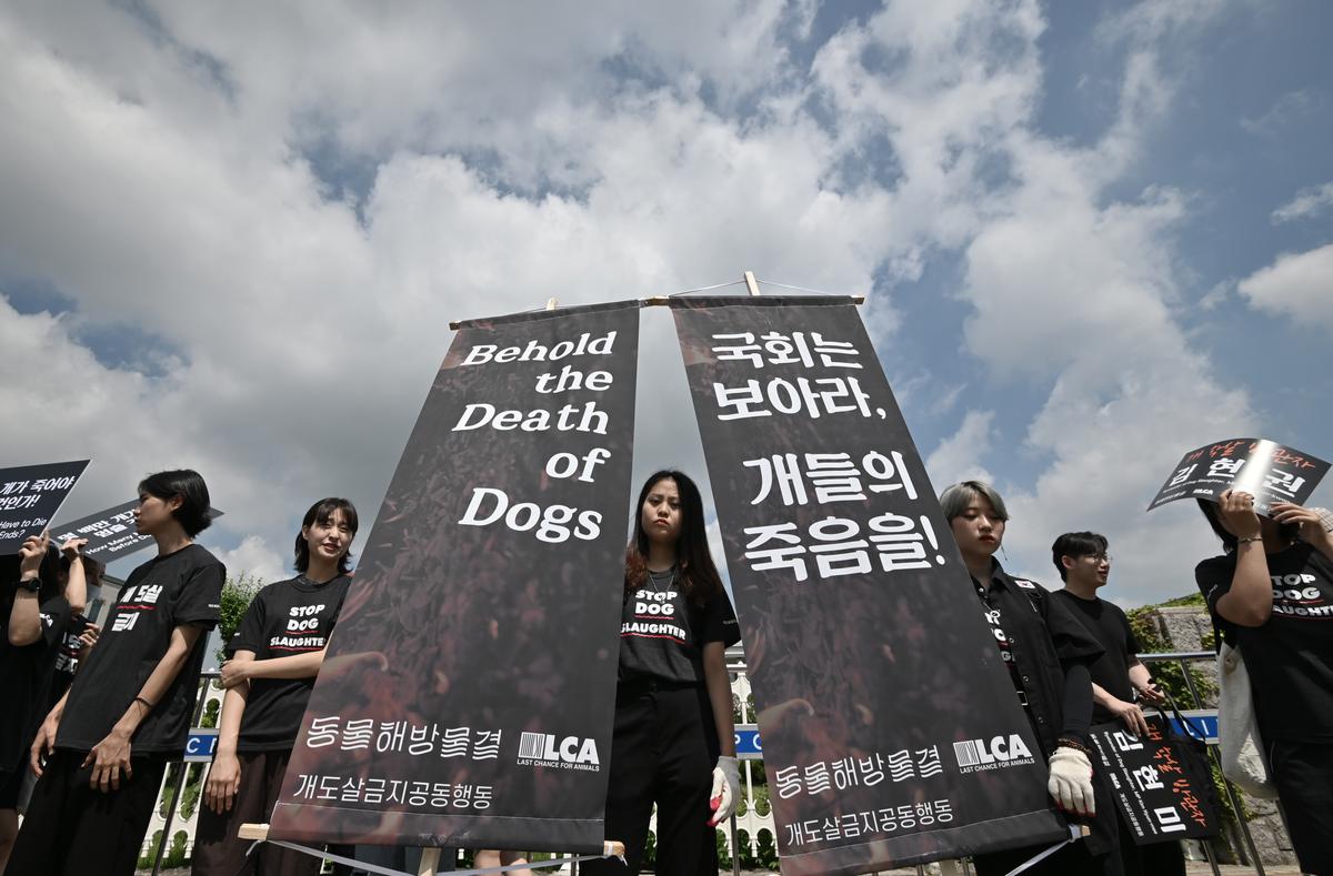 South Korean President Suggests Banning Dog Meat