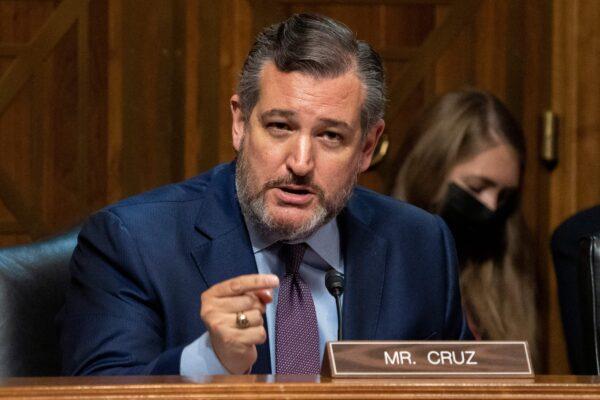 Sen. Ted Cruz (R-TX) asks questions during a Senate Judiciary Subcommittee on Competition Policy, Antitrust, and Consumer Rights, at the U.S. Capitol in Washington on Sept. 21, 2021. (Ken Cedeno/AFP via Getty Images)