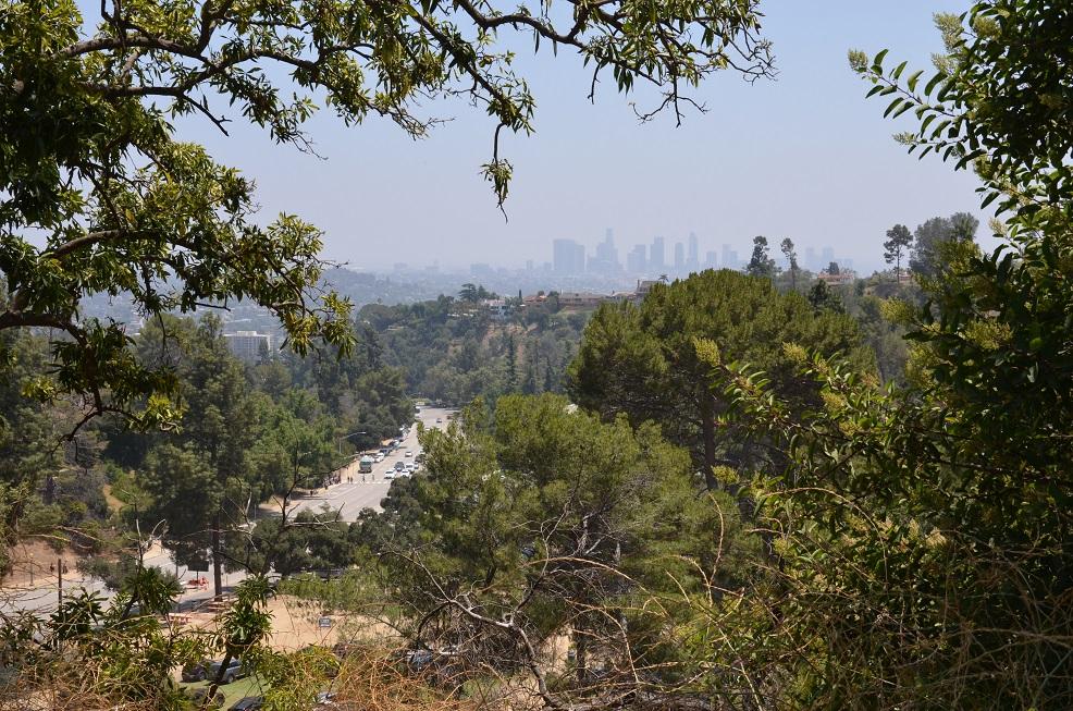 LA Nonprofit Launches Micro-Forest Initiative in City Parks