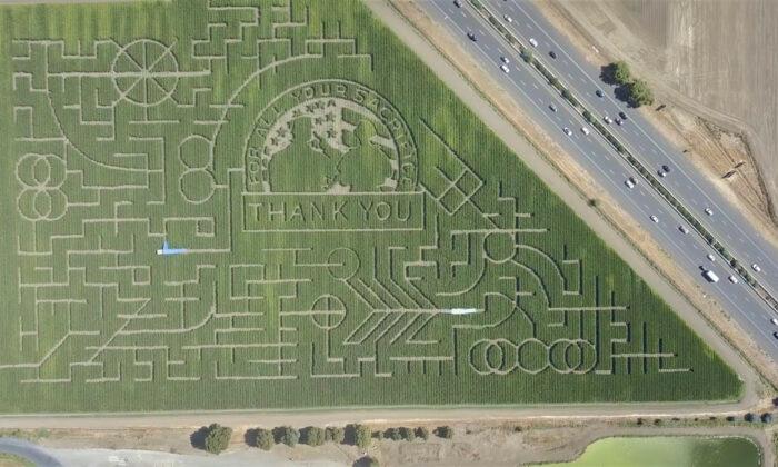 California Corn Maze Honors Military