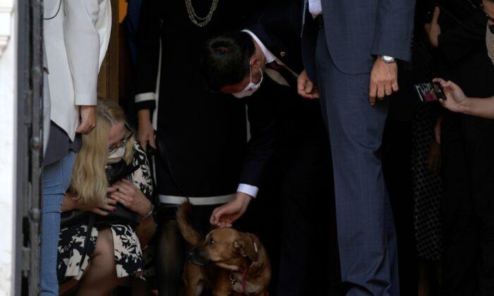 Top Dog: Greek Leader’s Pet Interrupts News Conference