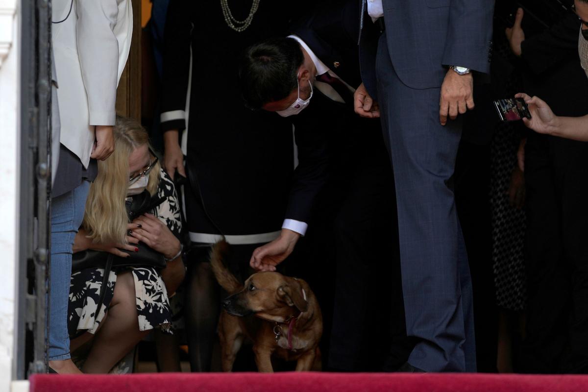 Top Dog: Greek Leader’s Pet Interrupts News Conference