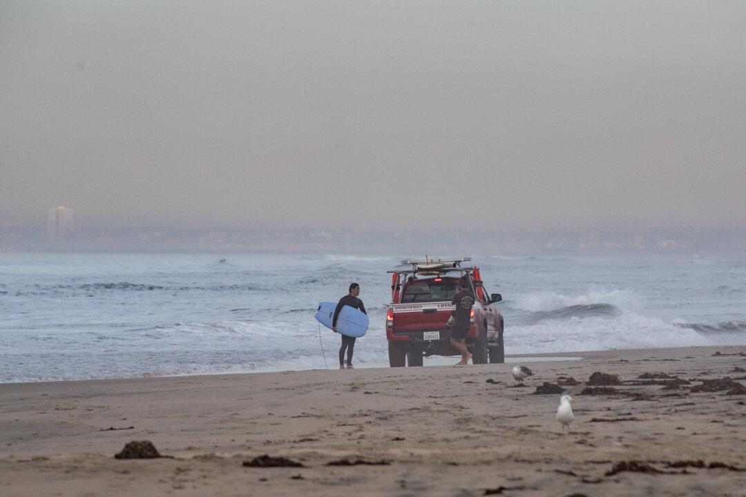 Wildlife Official: 4 Oiled Birds Collected so Far in OC Spill, 1 Euthanized