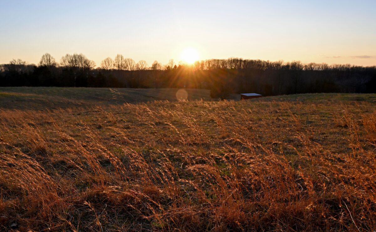 The sun sets over a field near Warrenton, Virginia, on Jan. 16, 2020. Two people were murdered in Warrenton in 2020, the most since 1983, according to FBI data. (Eva Hambach/AFP via Getty Images)