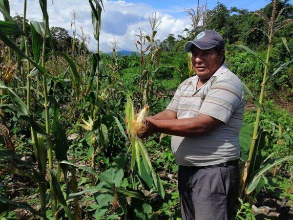 Victor Calichu with corn also growing on his family's farm, on Sept. 16, 2021. (Autumn Spredemann/The Epoch Times)