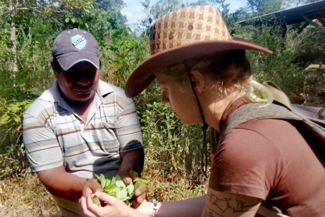 In Bolivia, Coca Farmers Find Exploitation Replaces Abuse