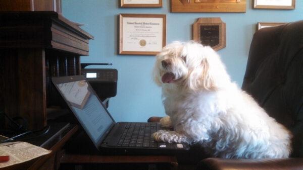 The author's prior stenographer, Belle. (Courtesy of Parnell Donahue)