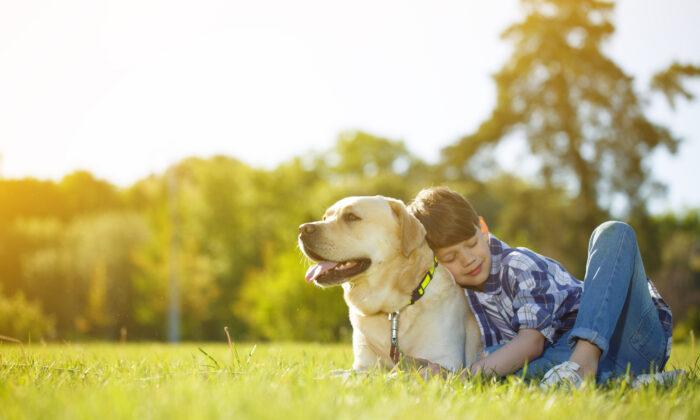 Parenting Matters: The Value of Pets