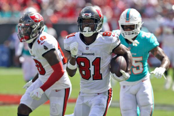 Tampa Bay Buccaneers wide receiver Antonio Brown (81) heads for the endzone to score on a 62-yard touchdown reception during the first half of an NFL football game against the Miami Dolphins, in Tampa, Fla., on Oct. 10, 2021. (Mark LoMoglio/AP Photo)