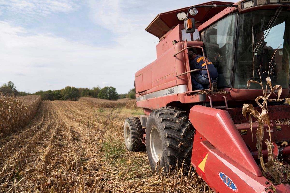 Don Nething, 62, troubleshoots his combine harvester after it breaks down while being used to harvest corn in Ravenna, Ohio, on Oct. 11, 2021. (Dane Rhys/Reuters)