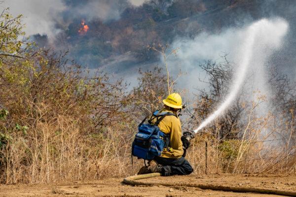 A firefighter extinguishes the flames of a wildfire near Yorba Linda, Calif., on Oct. 27, 2020. (John Fredricks/The Epoch Times)