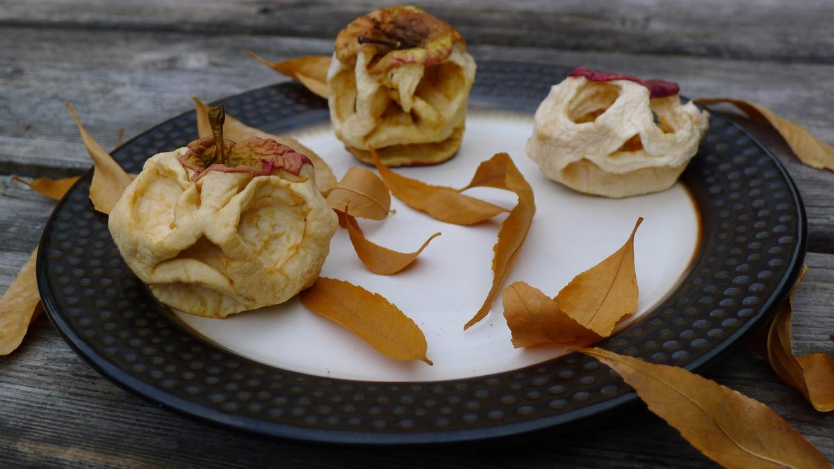 Save a few apples to carve and dehydrate into sweet and sassy apple Jack-o’-Lanterns. (Ari LeVaux)