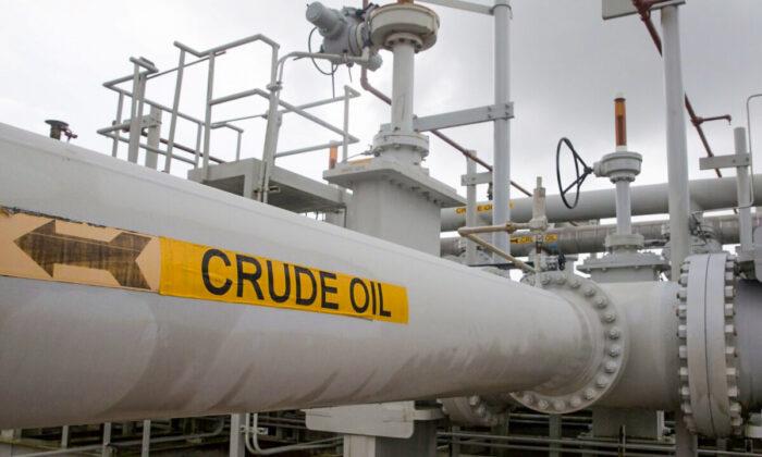 Oil Weakens, Focus on OPEC+ Response to US–Led Crude Release