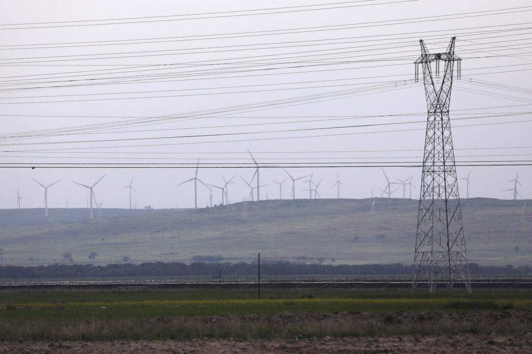 European Business Group Says China Power Cuts Poorly Communicated