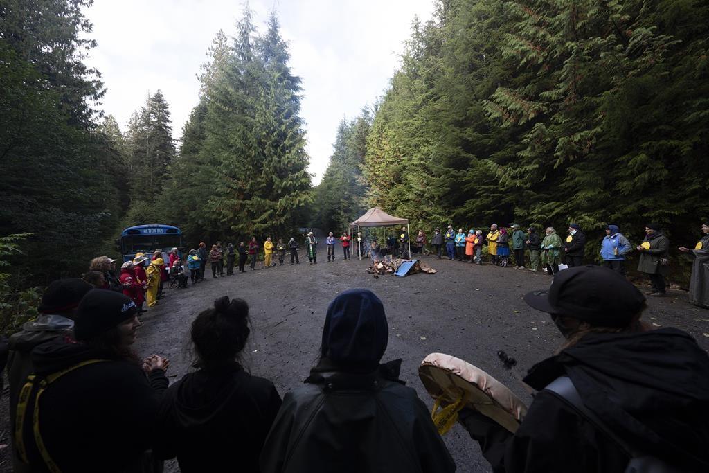RCMP Assess Enforcement Resources After Court Reinstates Logging Injunction in BC