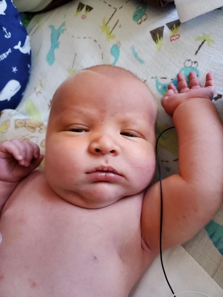 Finnley at 1 week old. (Courtesy of <a href="https://www.facebook.com/cary.patonai">Cary Patonai</a>)