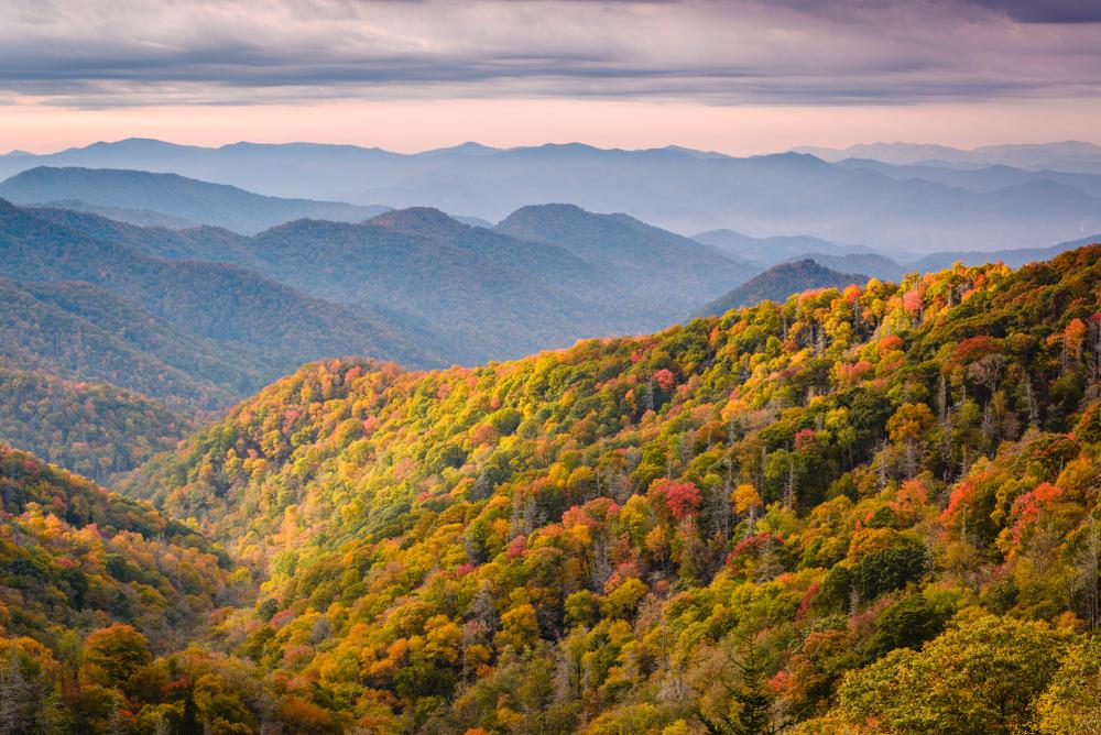 Fall colors start to adorn trees in Great Smoky Mountains National Park. (Sean Pavone/Shutterstock)