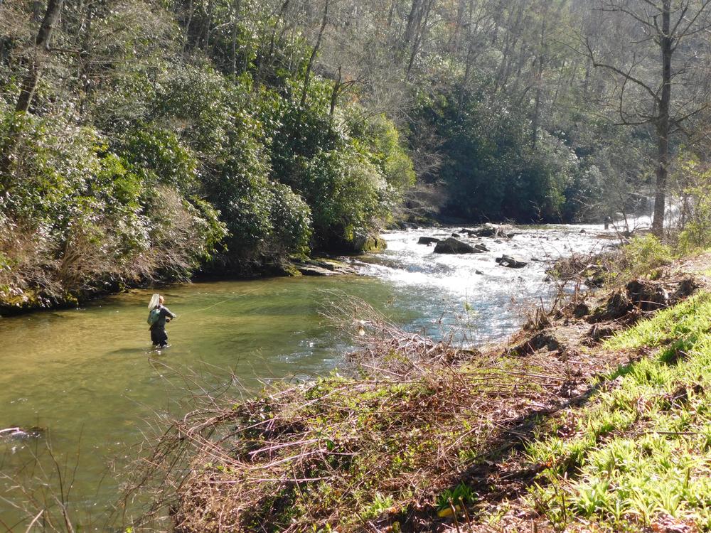Western North Carolina is a draw for fly fishermen. (Big Hill Photos/Shutterstock)