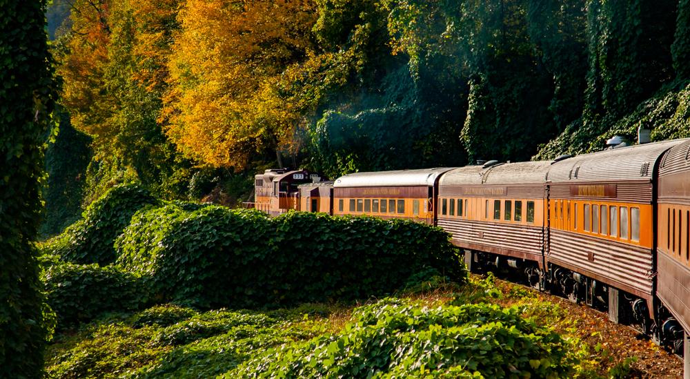 Up to 200,000 passengers each year enjoy the train excursions. (Bob Pool/Shutterstock)