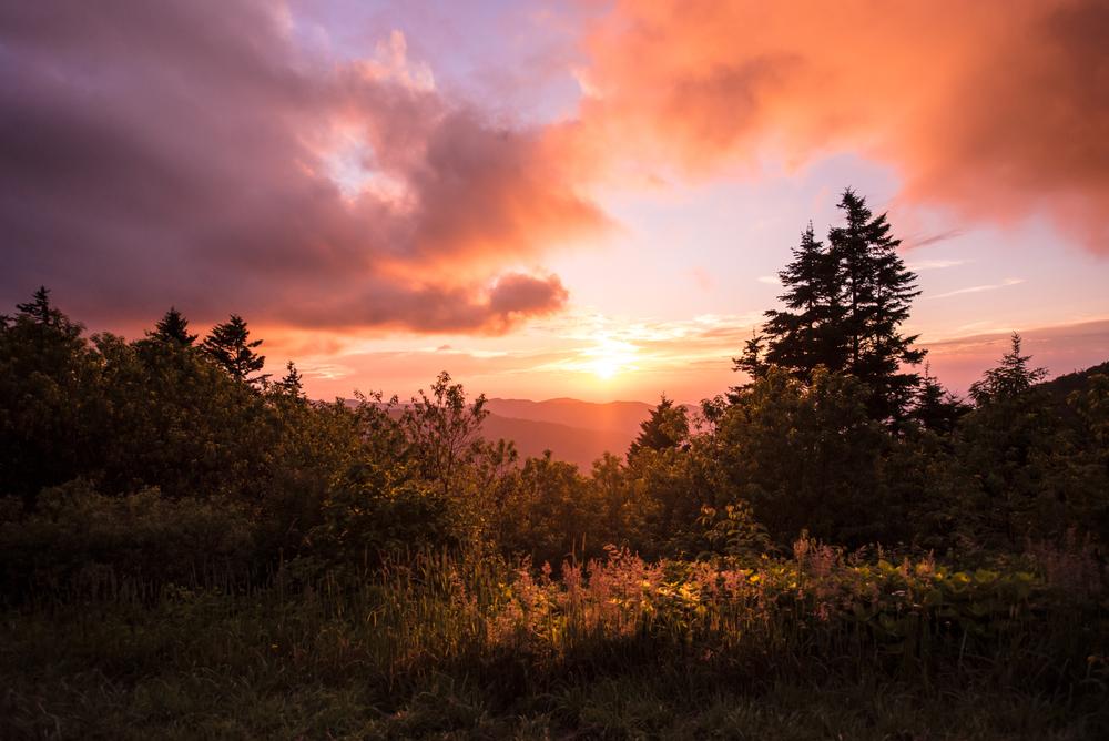 Sunset in Great Smoky Mountains National Park. (Linda Nguyen from Austin/Shutterstock)