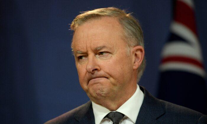 Anthony Albanese Decries Web Address Redirect to LNP as ‘Childish’