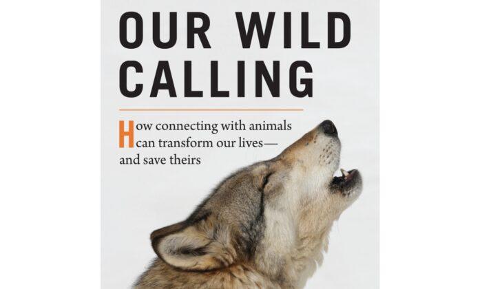 Book Review: ‘Our Wild Calling’