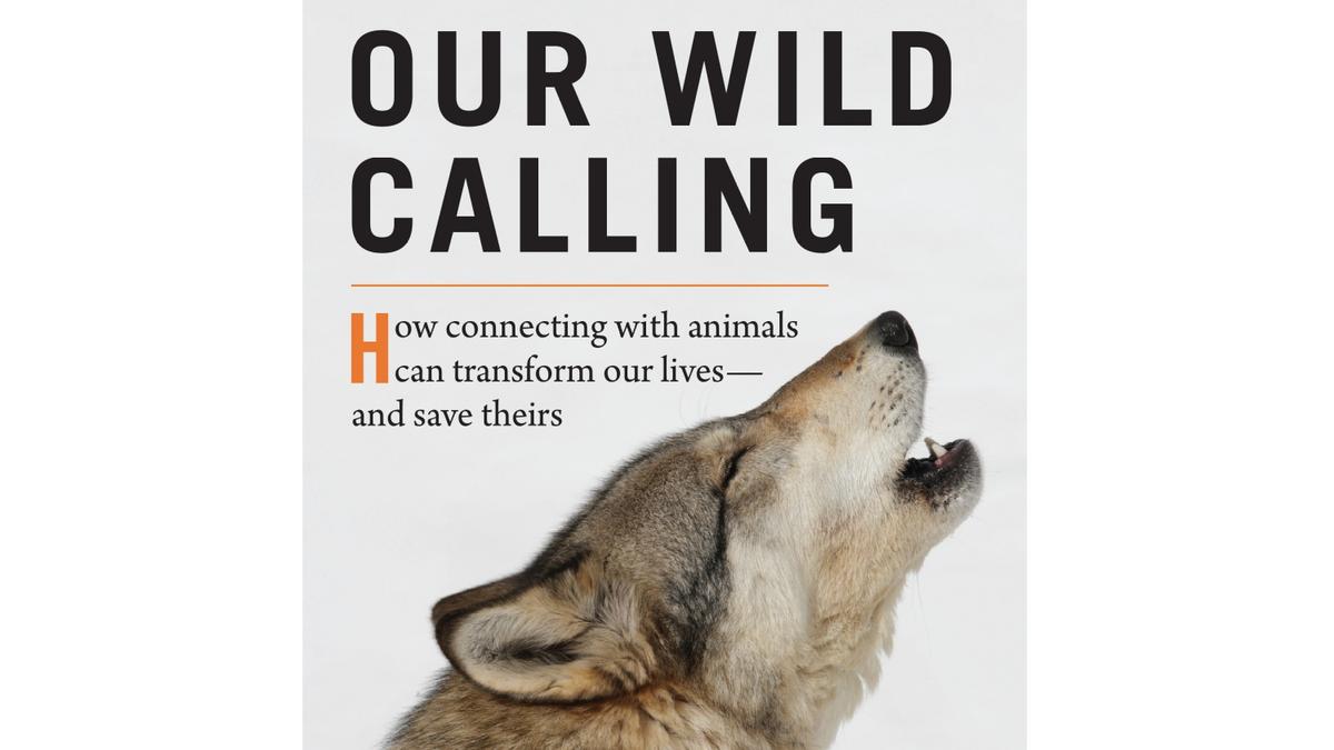 Book Review: ‘Our Wild Calling’