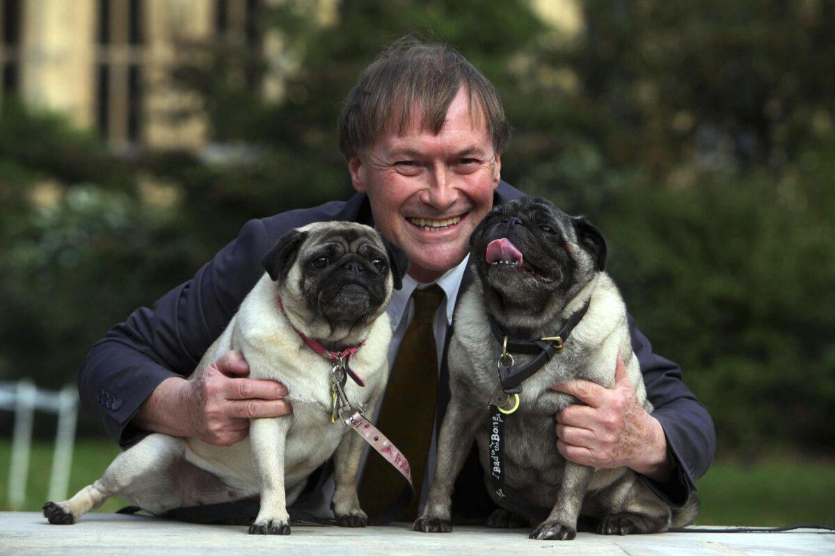 Conservative MP David Amess with his pugs, Lily and Boat at the Westminster Dog of the Year competition at Victoria Tower Gardens in London on Oct. 10, 2013. (Geoff Caddick/PA via AP)