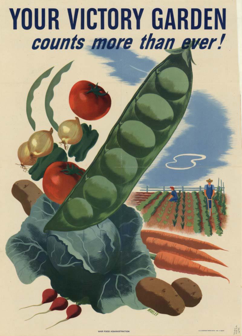 A World War II-era poster promotes victory gardens. (Public domain)