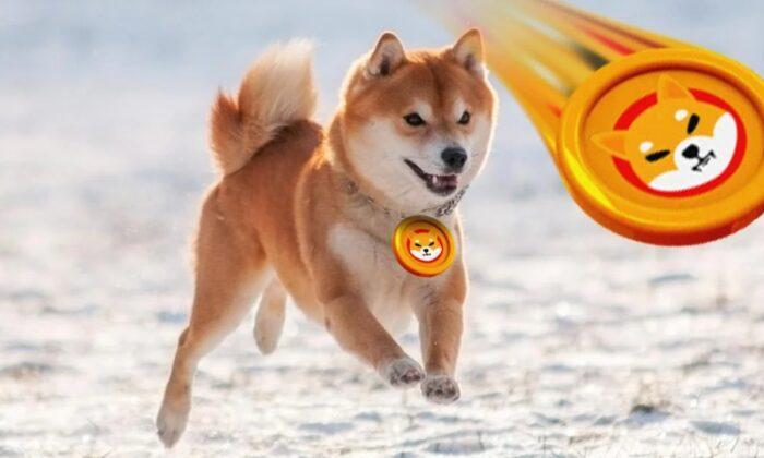 It’s Official! Online Retail Giant Newegg Confirms That It Will Accept Shiba Inu