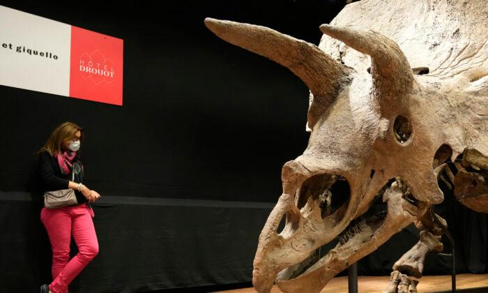 World’s Biggest Triceratops Sells for $7.7 Million in Paris