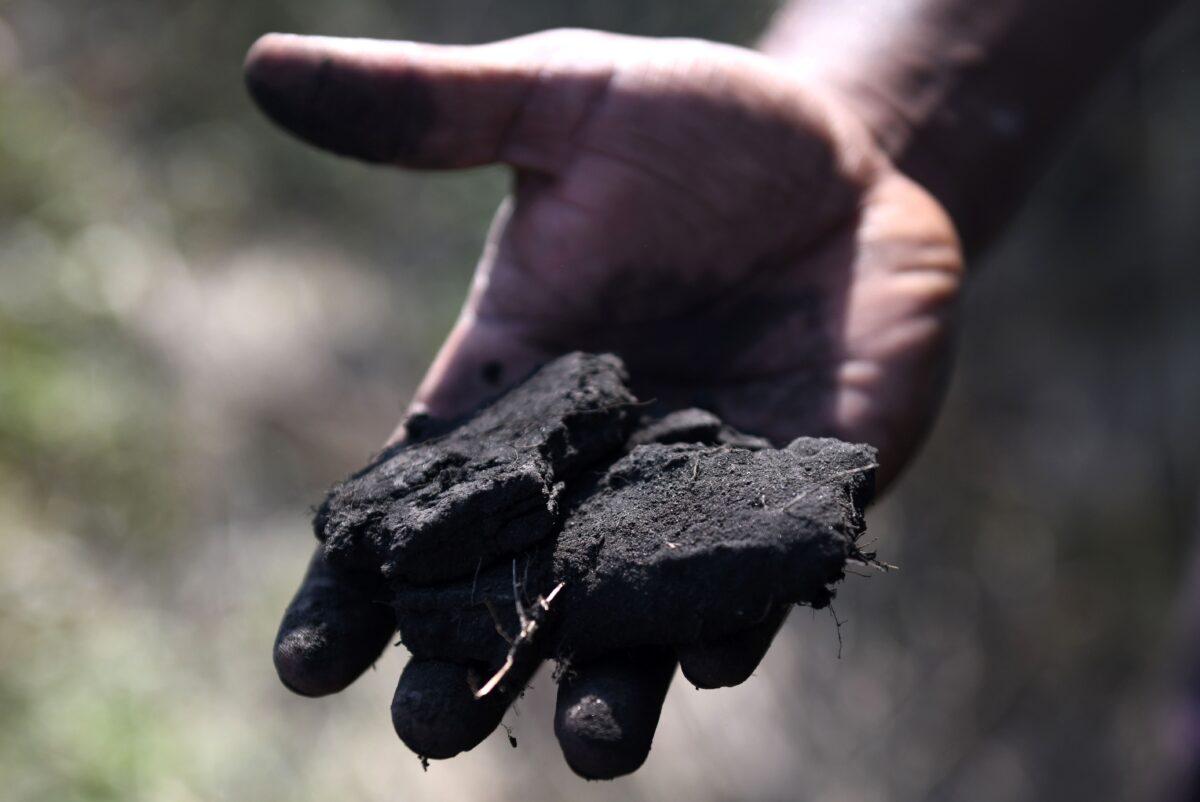An Indian villager holds coal chunks in Uncha Amipur village, near the National Thermal Power Corp. coal plant in Dadri, India, on Dec. 7, 2017. (MONEY SHARMA/AFP via Getty Images)