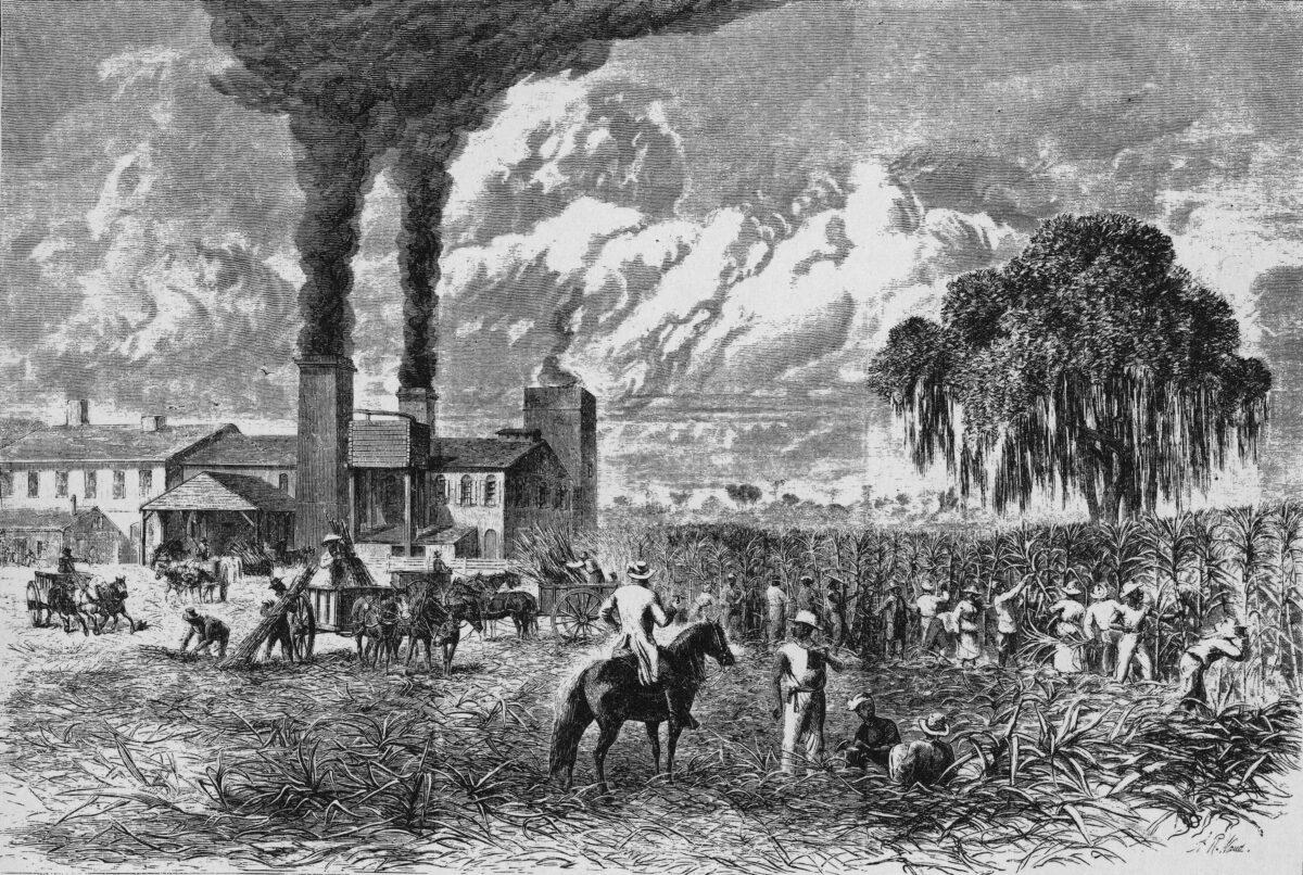 Illustration of enslaved people working on a sugar plantation in the Southern United States, mid-19th century. (Kean Collection/Getty Images)