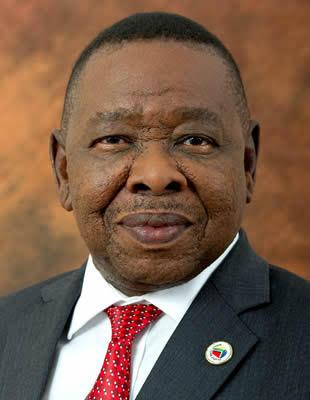 South African education minister Blade Nzimande says Afrikaans is a language of "white privilege" and must no longer be a medium of instruction at colleges (South African government)