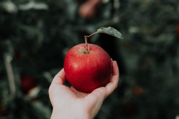 An apple in a hand. (Priscilla Du Preez via Unsplash)